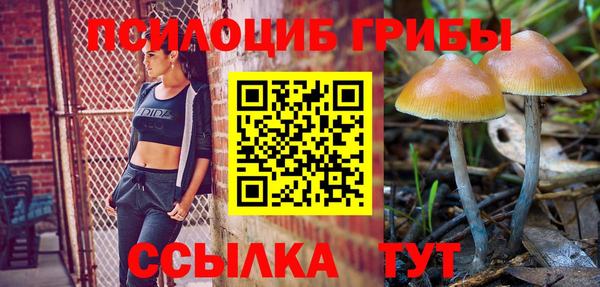 Кандалакша  Галлюциногенные грибы Magic Shrooms  Вход с VPN 